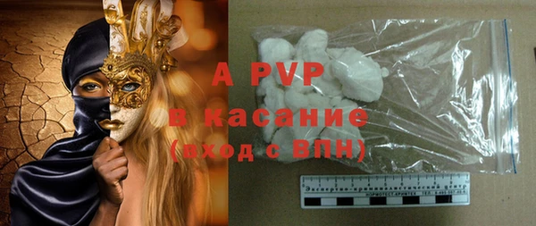 СК Новодвинск