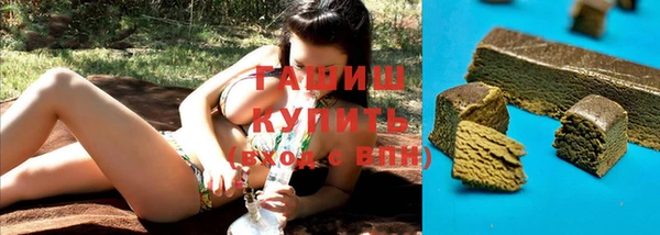 хмурый Новозыбков